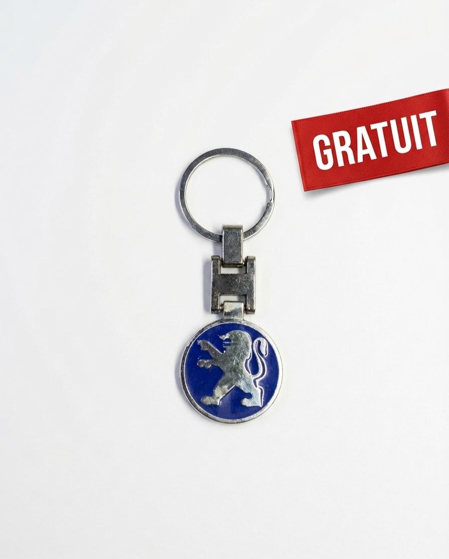 Pack Couvert Poignée de porte + couvert de rétroviseur noir noir brillant plus logo gratuit
