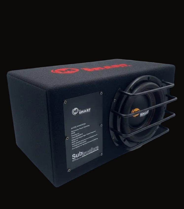 boumeur intégre MS SMART